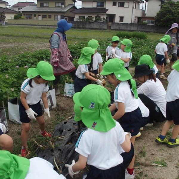 園の記事