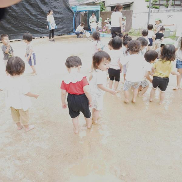 園の記事
