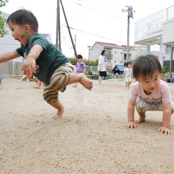 園の記事