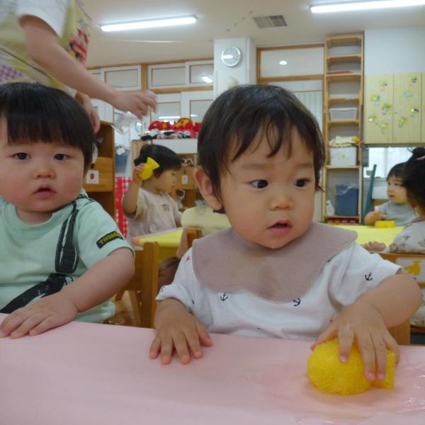 園の記事