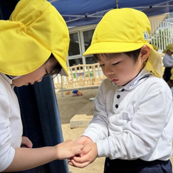 園の記事